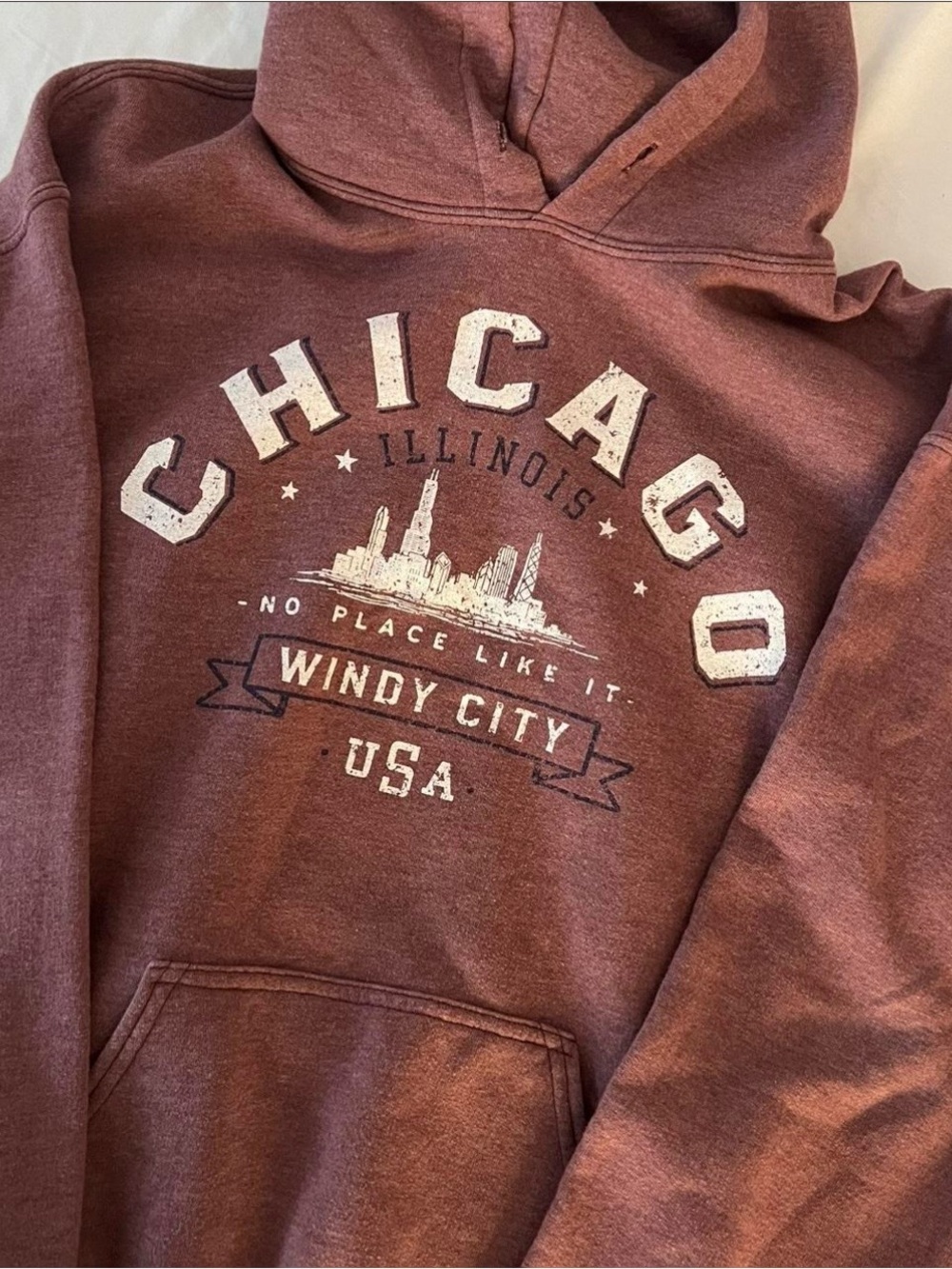 Chicago Windy City Graphic Hoodie - Dusty Mauve